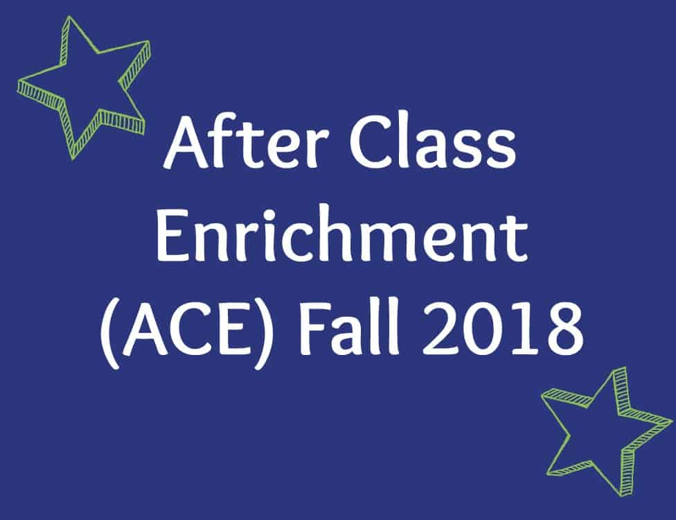ACE Fall 2018