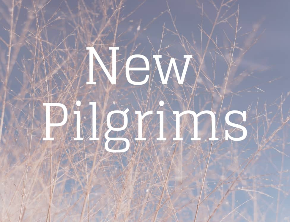 New Pilgrims