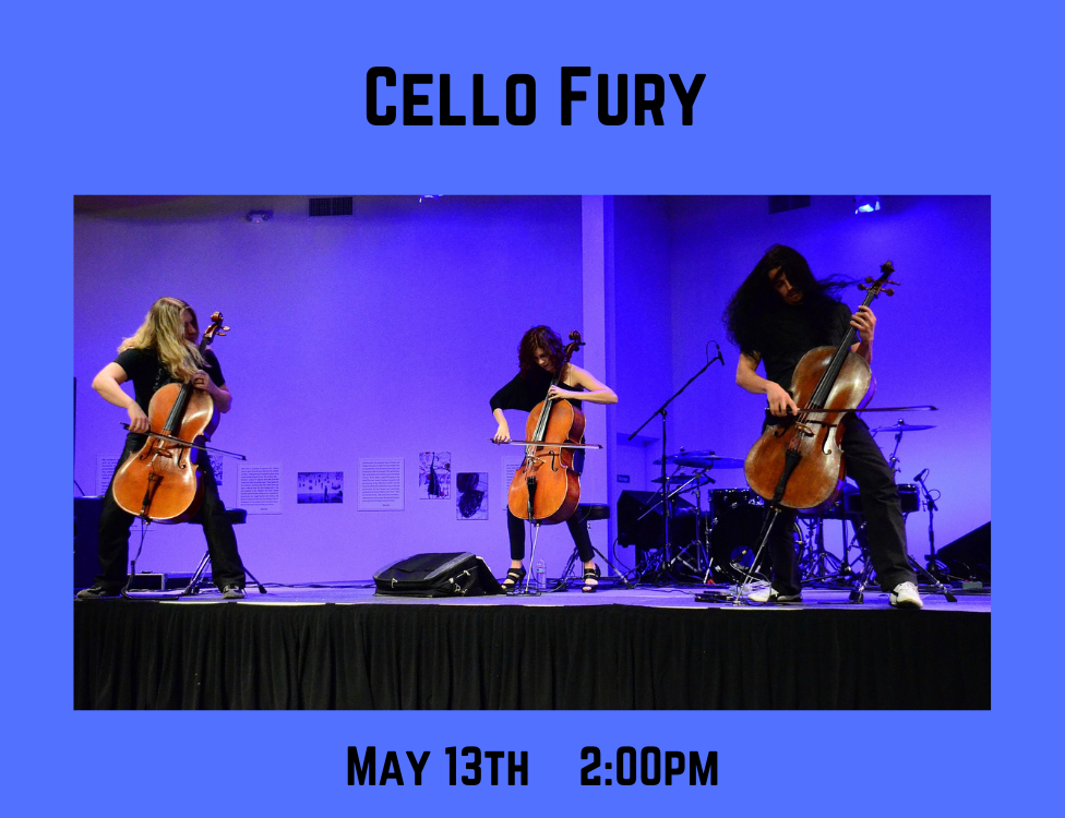 Cello Fury.jpg