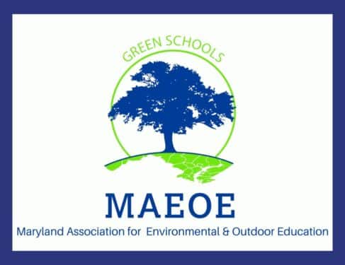 Tree Logo for Maryland Association of Environmental and Outdoor Education